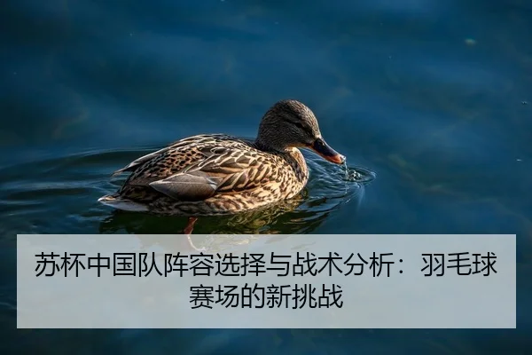 苏杯中国队阵容选择与战术分析：羽毛球赛场的新挑战