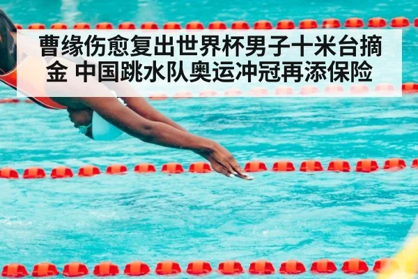 曹缘伤愈复出世界杯男子十米台摘金 中国跳水队奥运冲冠再添保险